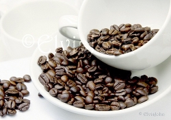 Excelsa Coffee